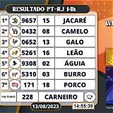 jogo do bicho look